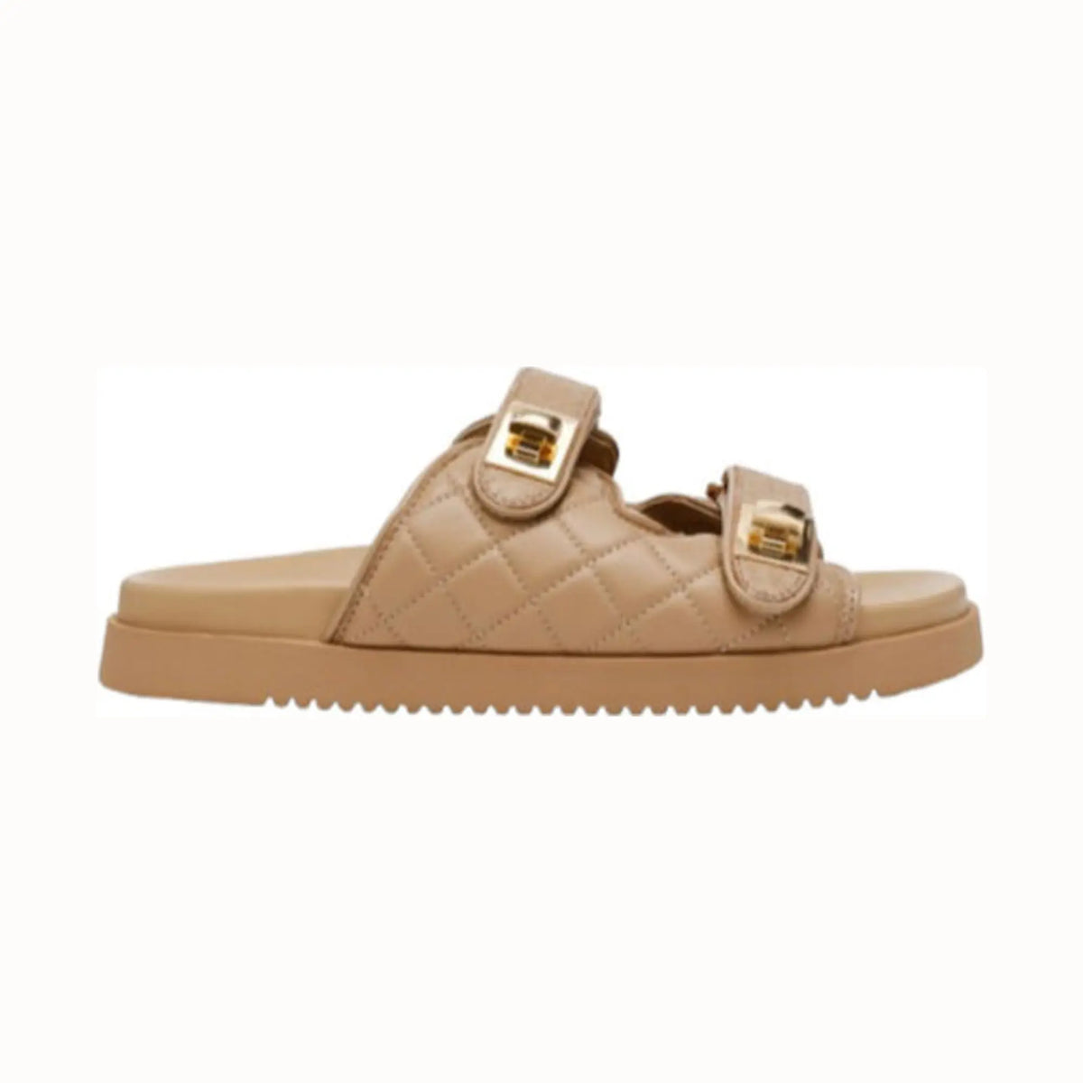 Calzado Steve Madden SCHMONA Café Mujer