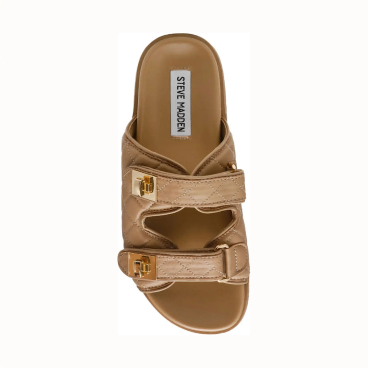 Calzado Steve Madden SCHMONA Café Mujer